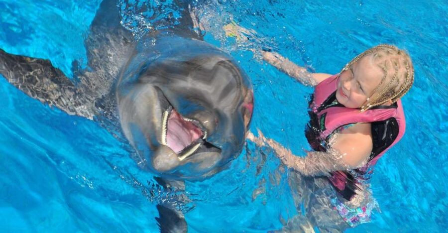 Alanya: Dolphin and Seal Show Ticket with Hotel Transfers - Key points to know before you go