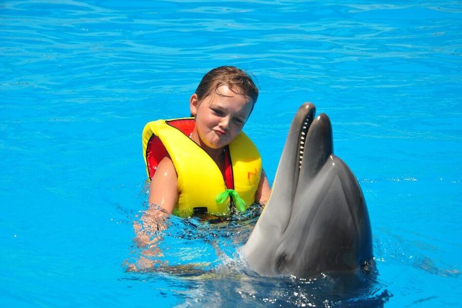 Alanya: Dolphin and Seal Show Ticket with Hotel Transfers - Booking flexibility and practical details