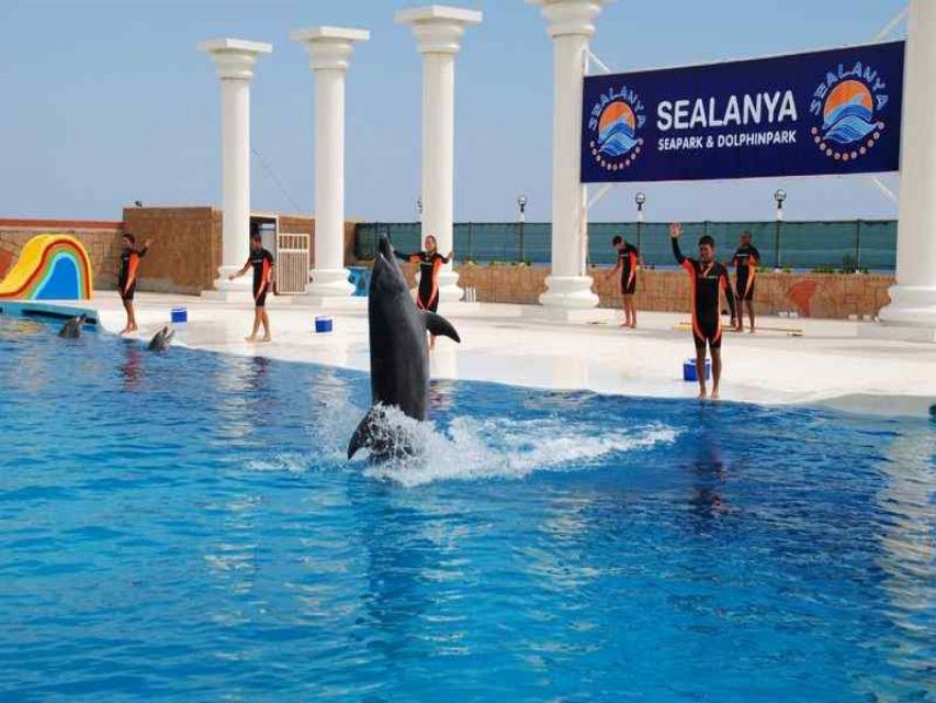 Alanya: Dolphin and Seal Show Ticket with Hotel Transfers - Seals add the comic relief