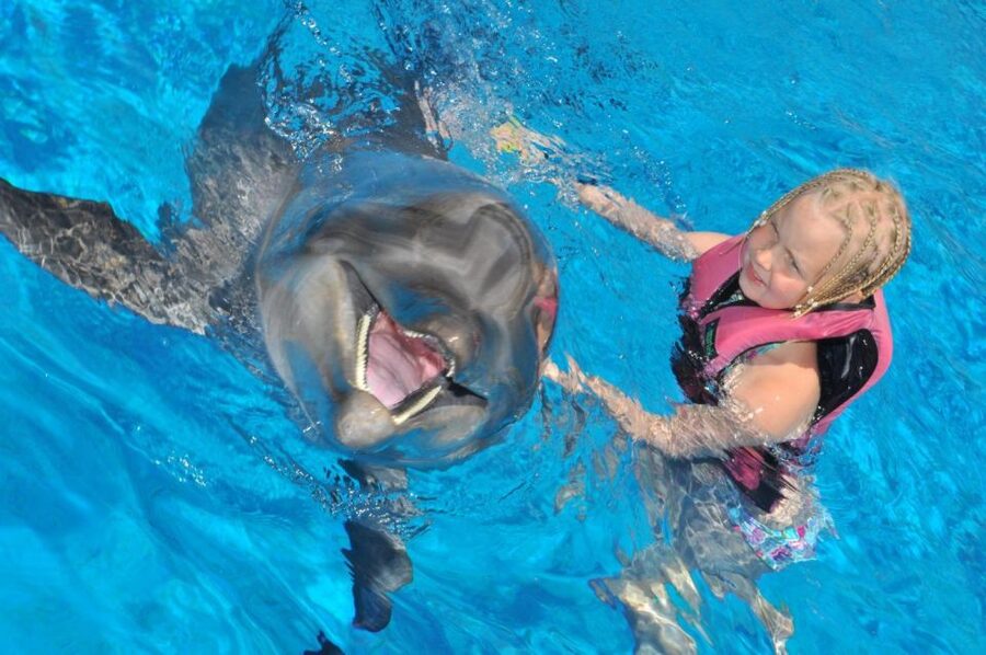 Alanya: Dolphin and Seal Show Ticket with Hotel Transfers - What the educational element adds