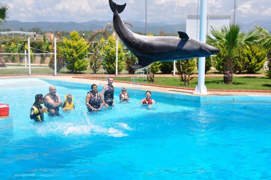 Alanya: Dolphin and Seal Show Ticket with Hotel Transfers - Is $40 good value for this show?