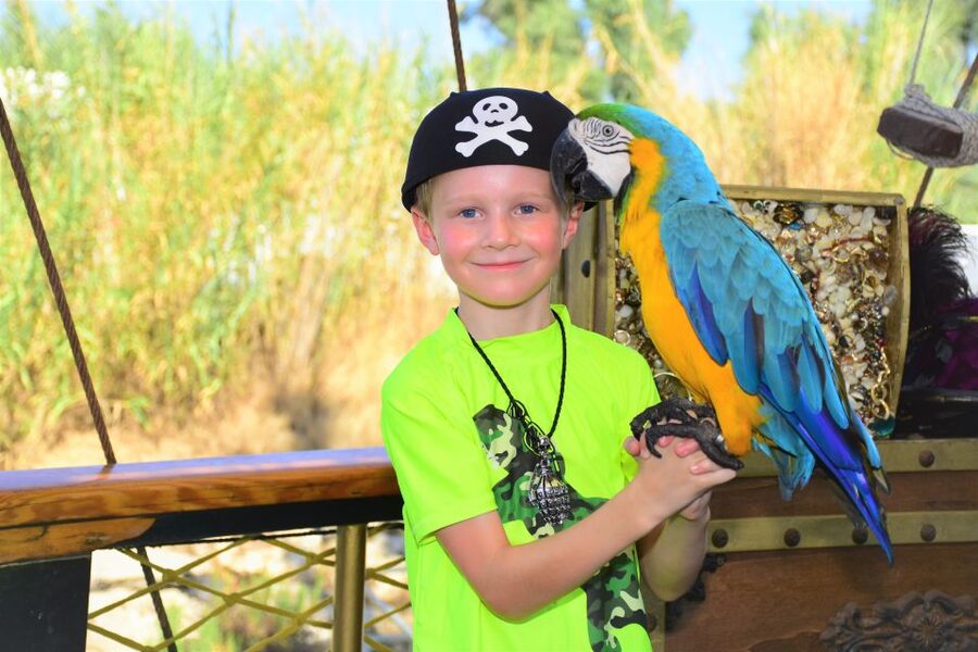Alanya: Pirate Boat Trip with Meal, Drinks and Pickup Option - Who should book this trip?