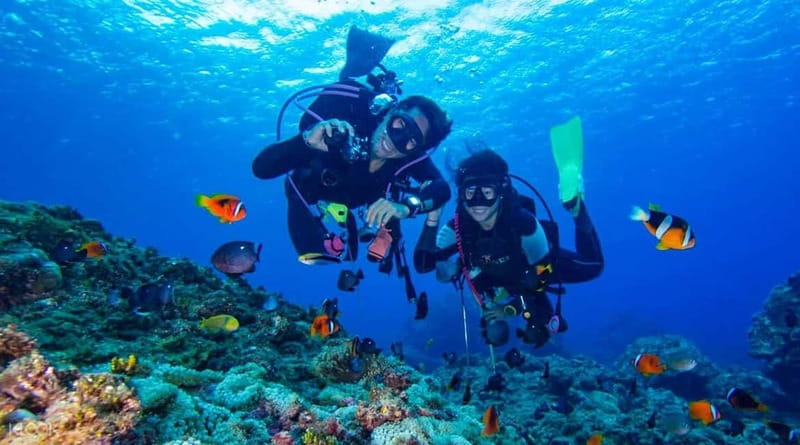 Alanya: Scuba Diving Adventure for Beginners & Professionals - Two short sessions in Alanya’s clear Mediterranean water