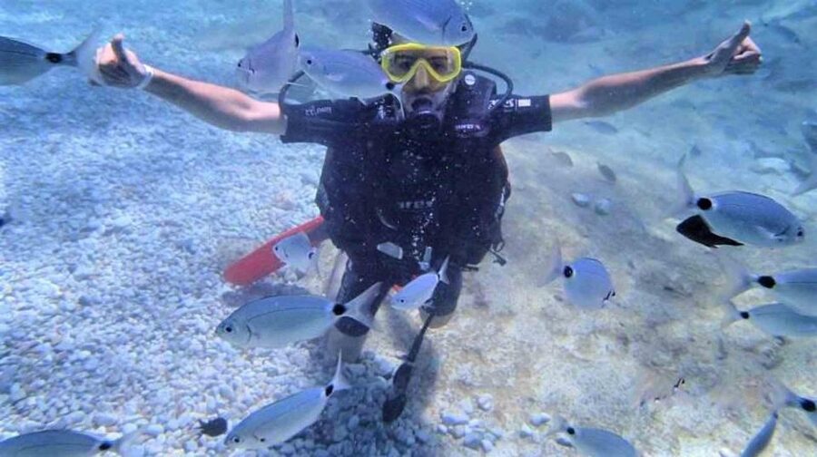 Alanya: Scuba Diving Adventure for Beginners & Professionals - FAQ