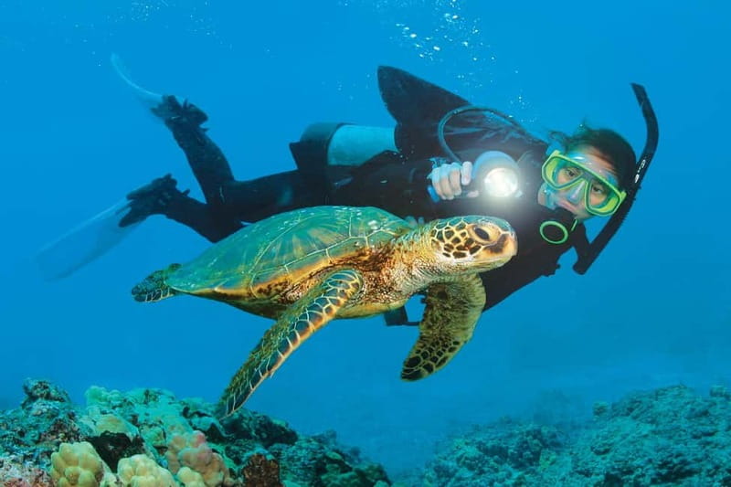 Alanya: Scuba Diving Adventure for Beginners & Professionals - The first 3 to 5 meter session eases you into scuba