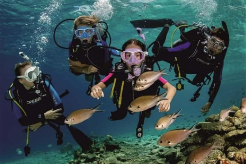 Alanya: Scuba Diving Adventure for Beginners & Professionals - Lunch and sun time break up the day