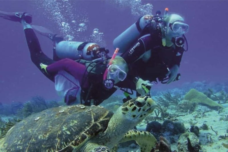 Alanya: Scuba Diving Adventure for Beginners & Professionals - The second 5 to 7 meter session adds a little more confidence