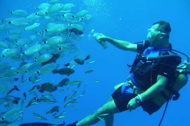 Alanya: Scuba Diving Adventure for Beginners & Professionals - Who will enjoy this Alanya outing most