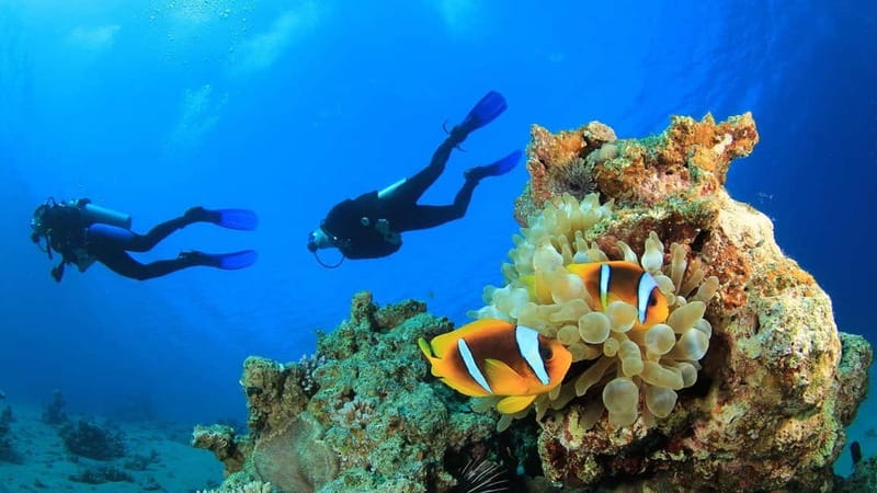 Alanya: Scuba Diving Adventure for Beginners & Professionals - Should you book the Alanya scuba tour?