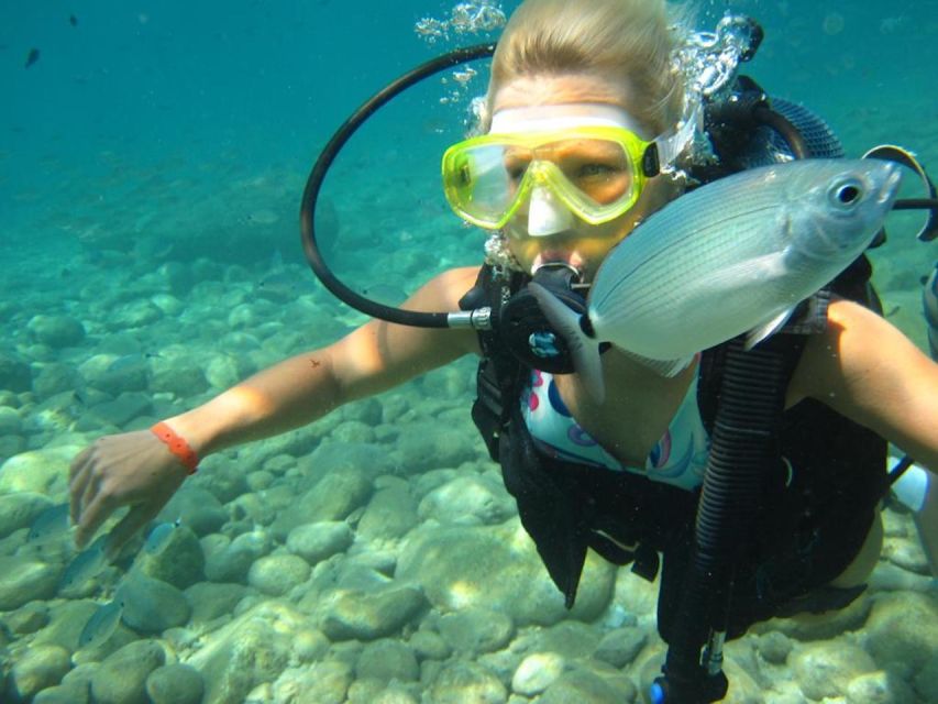 Alanya: Scuba Diving Experience with Lunch - A full morning on the Turkish Riviera