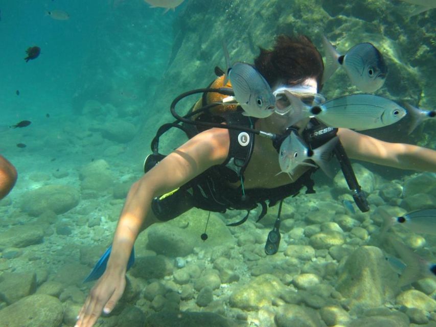 Alanya: Scuba Diving Experience with Lunch - The first 20-minute underwater session