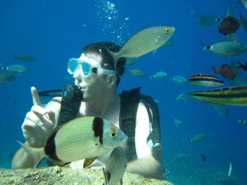 Alanya: Scuba Diving Experience with Lunch - The second 20-minute underwater session