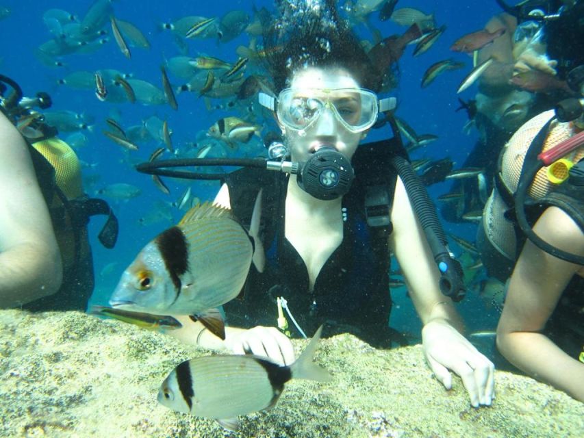 Alanya: Scuba Diving Experience with Lunch - Photos, videos, and the real cost