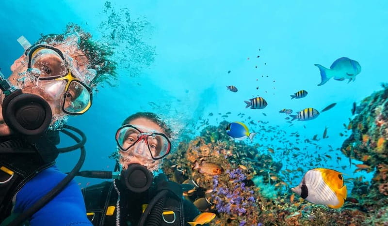 Alanya: Scuba Diving Tour With Lunch - Key points at a glance