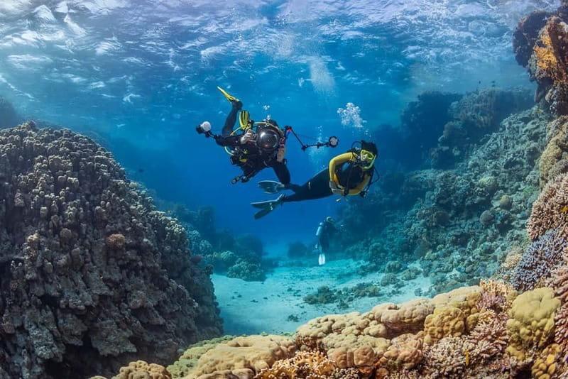 Alanya: Scuba Diving Tour with Lunch and Hotel Transfers - Why the first shallow session matters