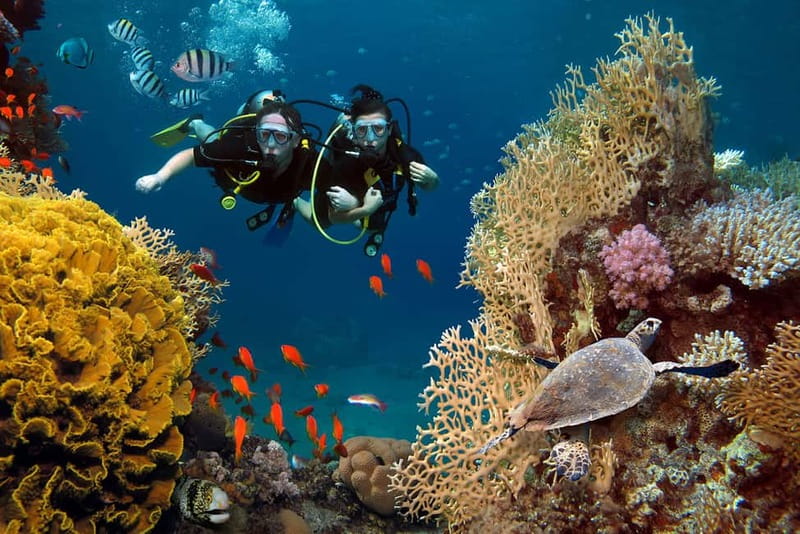Alanya: Scuba Diving Tour with Lunch and Hotel Transfers - Lunch, swimming, and the useful pause between sessions