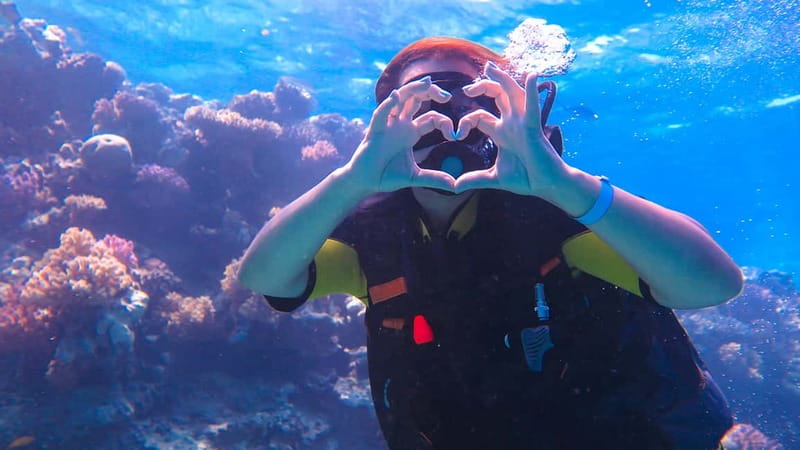 Alanya: Scuba Diving Tour with Lunch and Hotel Transfers - Who should book this Alanya scuba tour?