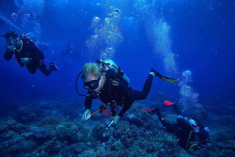 Alanya: Scuba Diving Tour with Lunch and Hotel Transfers - Sea caves, reefs, and Mediterranean marine life