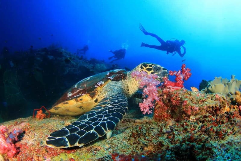 Alanya: Scuba Diving Tour With Lunch - First session: instruction before the water