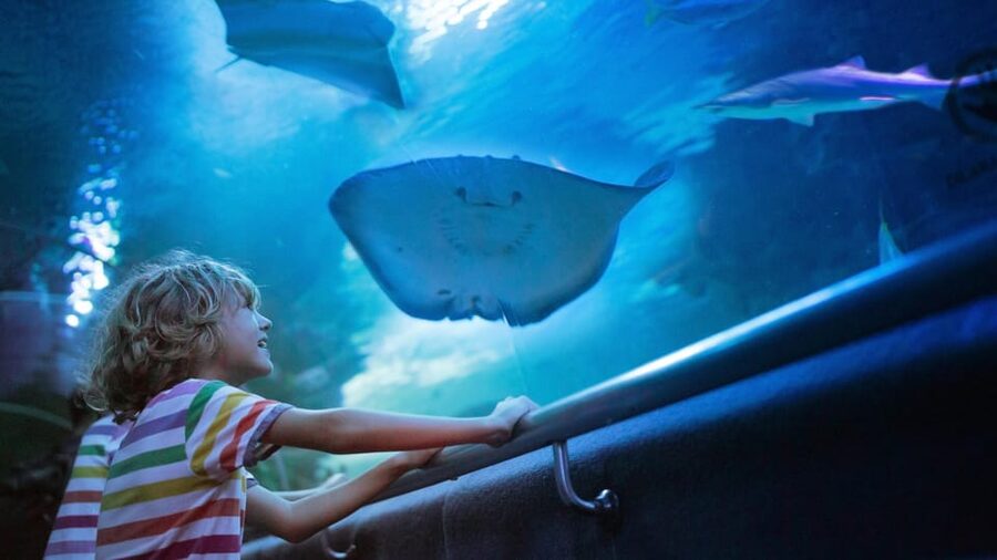 Antalya: Aquarium and Wax Museum Entry Ticket - Key points to know before you go