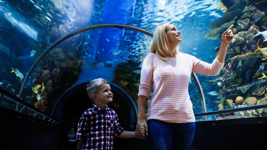 Antalya: Aquarium and Wax Museum Entry Ticket - Why the Antalya Aquarium works as a half-day plan