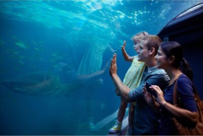 Aquarium and Wax Museum Entry Ticket