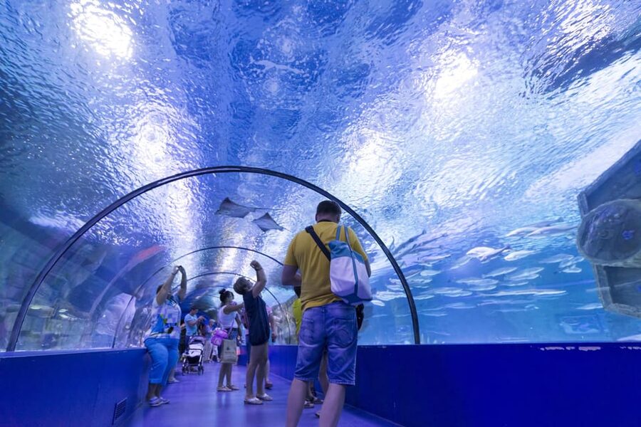 Antalya: Aquarium and Wax Museum Entry Ticket - Optional extras and what the standard ticket leaves out
