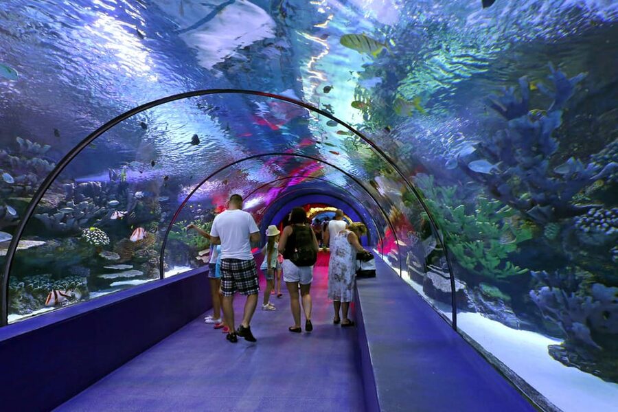 Antalya: Aquarium and Wax Museum Entry Ticket - Is $47 good value for Antalya Aquarium?