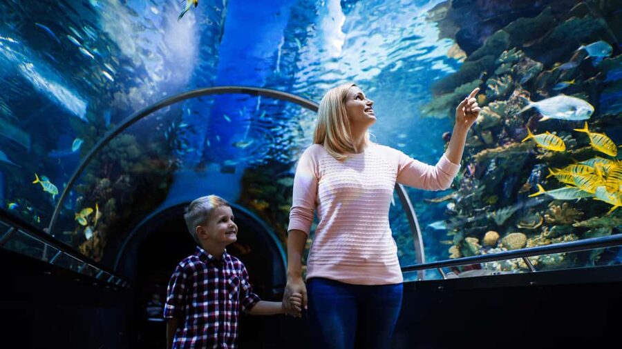 Antalya: Aquarium, Wax Museum, Snow World, Wild Park - What your $43 gets you at Antalya Aquarium