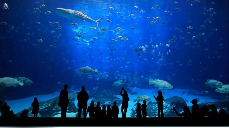 Antalya: Aquarium, Wax Museum, Snow World, Wild Park - Walking through the giant tunnel