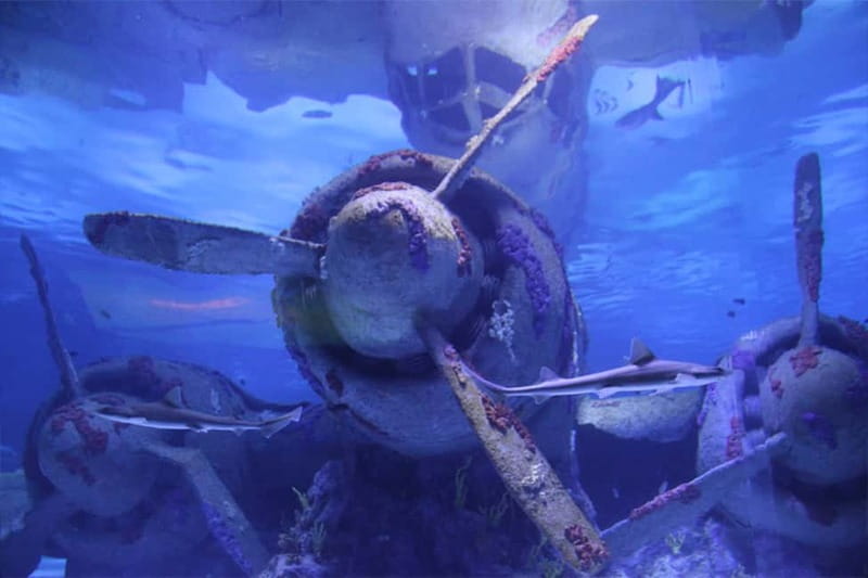 Antalya: Aquarium, Wax Museum, Snow World, Wild Park - Adding Snow World, the Wax Museum, and Wild Park