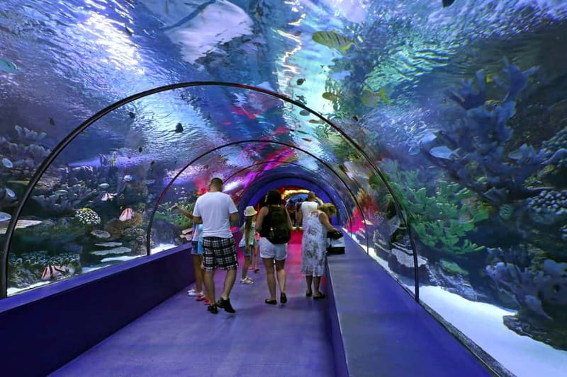 Antalya: Aquarium, Wax Museum, Snow World, Wild Park - How to organize your day