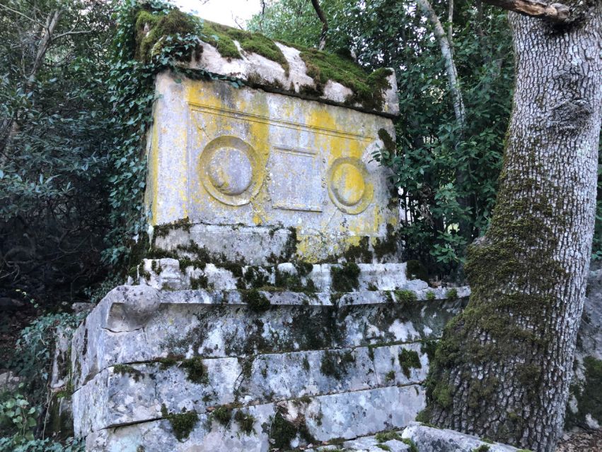 Antalya: Hiking in Termessos Ancient City - Entering the ancient city and its civic center