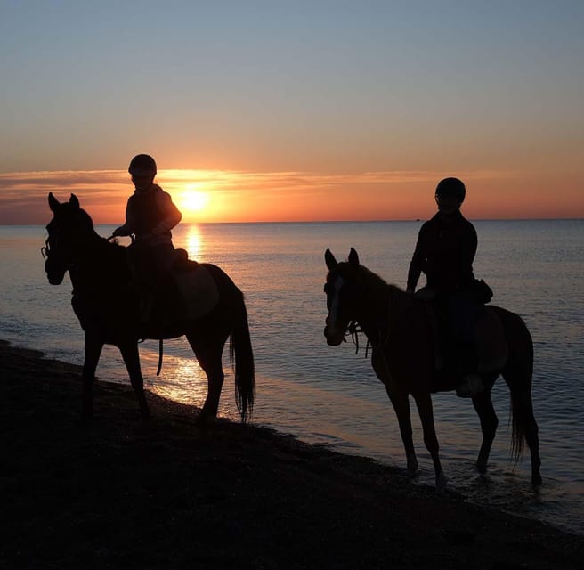 Antalya: Horseback Riding on the Beach and in the Forest - Guides, Communication, and Group Pace