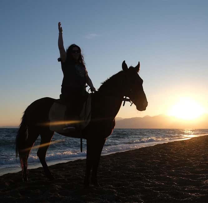 Antalya: Horseback Riding on the Beach and in the Forest - Timing, Transfers, and Cancellation