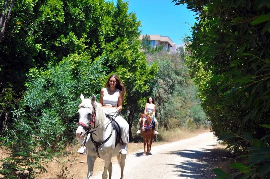 Antalya: Horseback Riding on the Beach and in the Forest - Should You Book It?