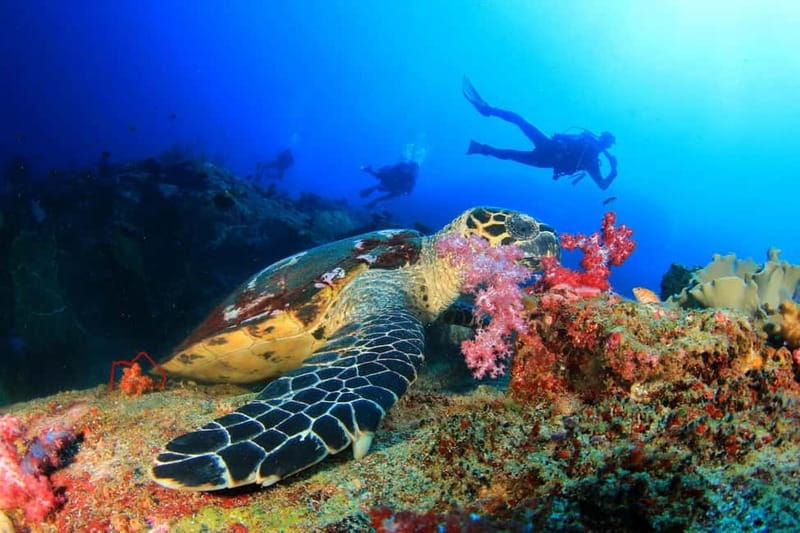 Antalya/Kemer: 2 Dives Scuba Diving Trip with Lunch - The boat ride from Kemer to Çamyuva