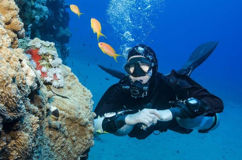 Antalya/Kemer: 2 Dives Scuba Diving Trip with Lunch - Akvaryum Bay: your first underwater session