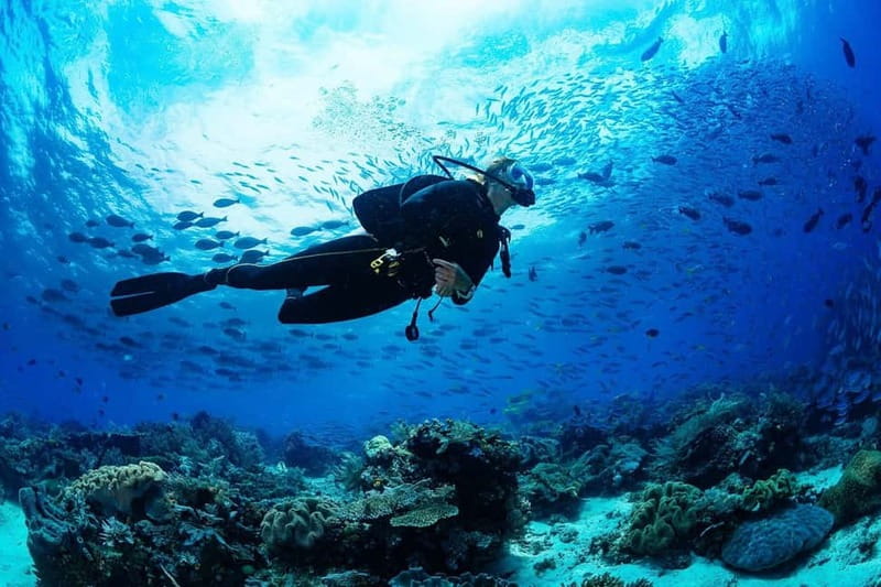 Antalya/Kemer: 2 Dives Scuba Diving Trip with Lunch - Ayışığı Beach for the second session