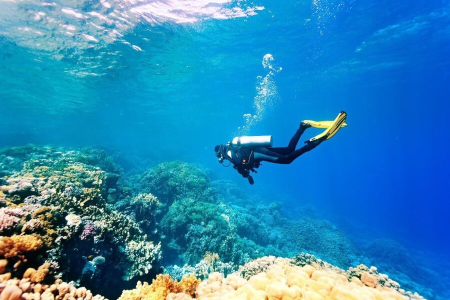 Antalya/Kemer: 2 Dives Scuba Diving Trip with Lunch - Safety and instructor support