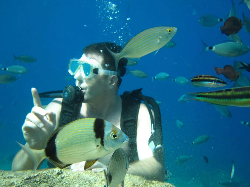 Antalya/Kemer: Scuba Diving Experience with Lunch & Pick up - Lunch is practical, not a reason to book
