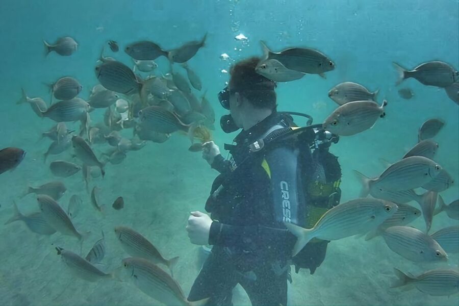 Antalya/Kemer: Scuba Diving Experience with Lunch & Pick up - What to bring for comfort between sessions