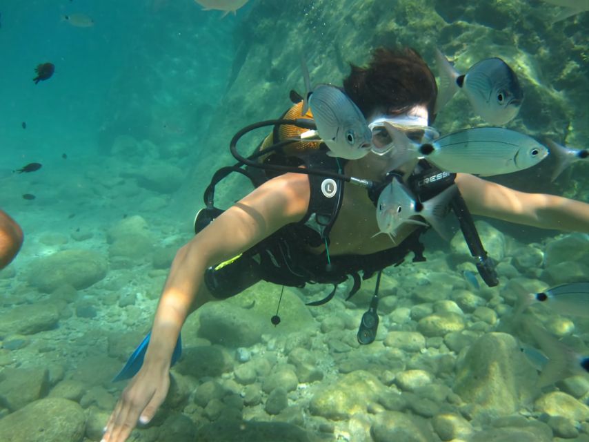 Antalya/Kemer: Scuba Diving Experience with Lunch & Pick up - Aquarium Bay offers the gentler first session