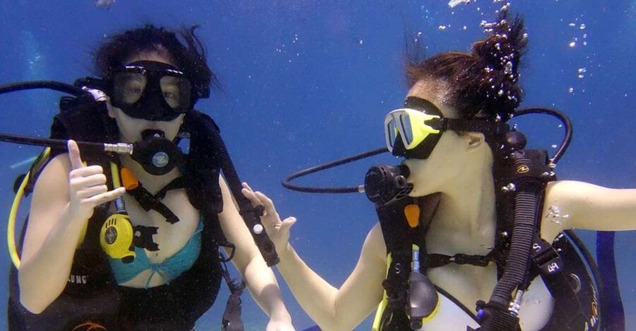 Antalya/Kemer: Scuba Diving with Pickup, Lunch, and 2 Dives - What your Antalya scuba day is really like
