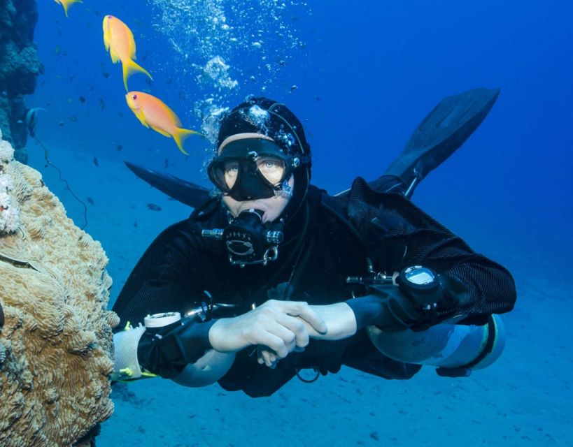 Antalya/Kemer: Scuba Diving with Pickup, Lunch, and 2 Dives - Second session: more time to enjoy what is below