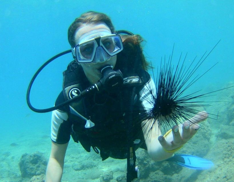Antalya/Kemer: Scuba Diving with Pickup, Lunch, and 2 Dives - What the $24 price includes, and what it does not