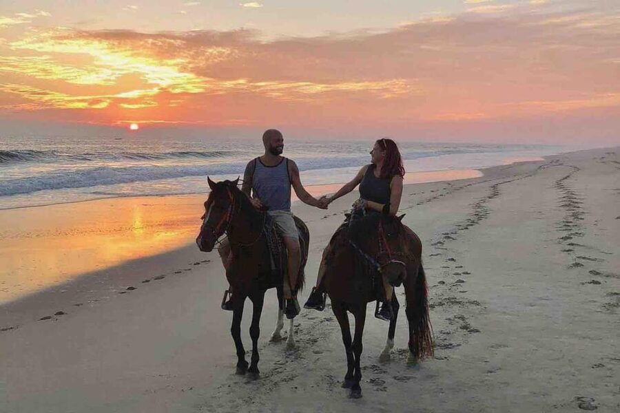 Antalya: Lara Beach & Forrest Horse Riding Safari - A gentle ride from trees to Lara Beach