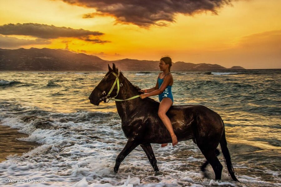 Antalya: Lara Beach & Forrest Horse Riding Safari - The tree-lined countryside section