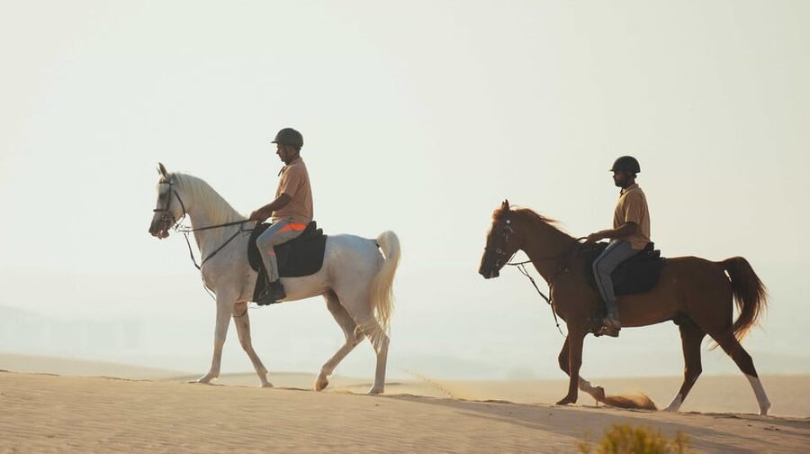 Antalya: Lara Beach & Forrest Horse Riding Safari - Reaching the beach for the coastal views