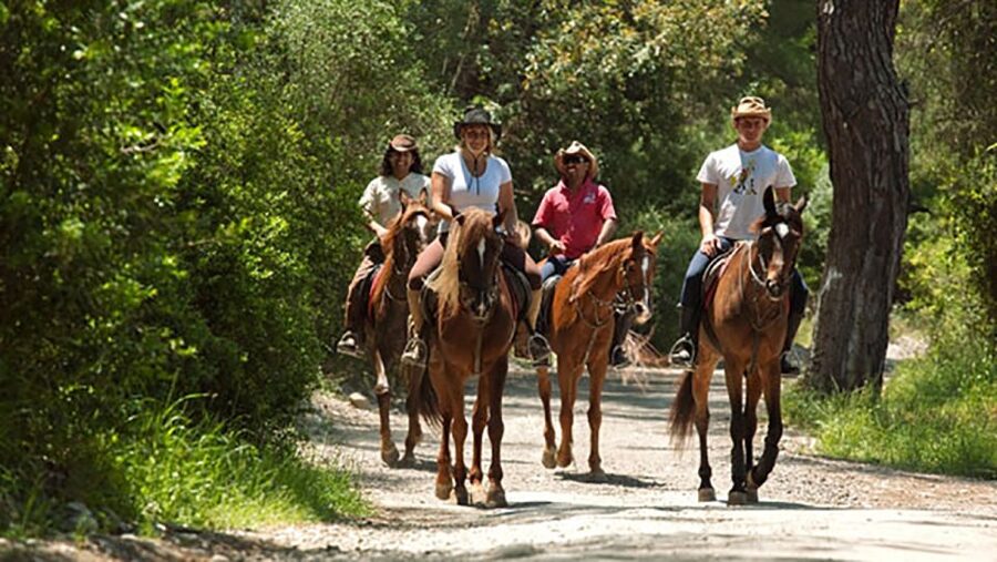 Antalya: Lara Beach & Forrest Horse Riding Safari - What to wear and what to confirm